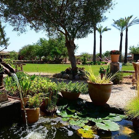 Agroturismo Finca Sant Blai Campos  Exteriör bild