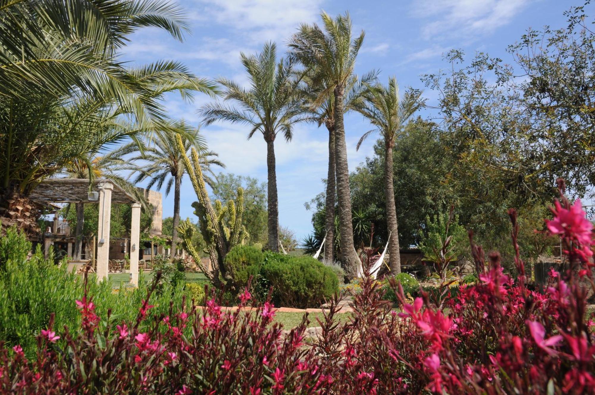 Agroturismo Finca Sant Blai Campos  Exteriör bild