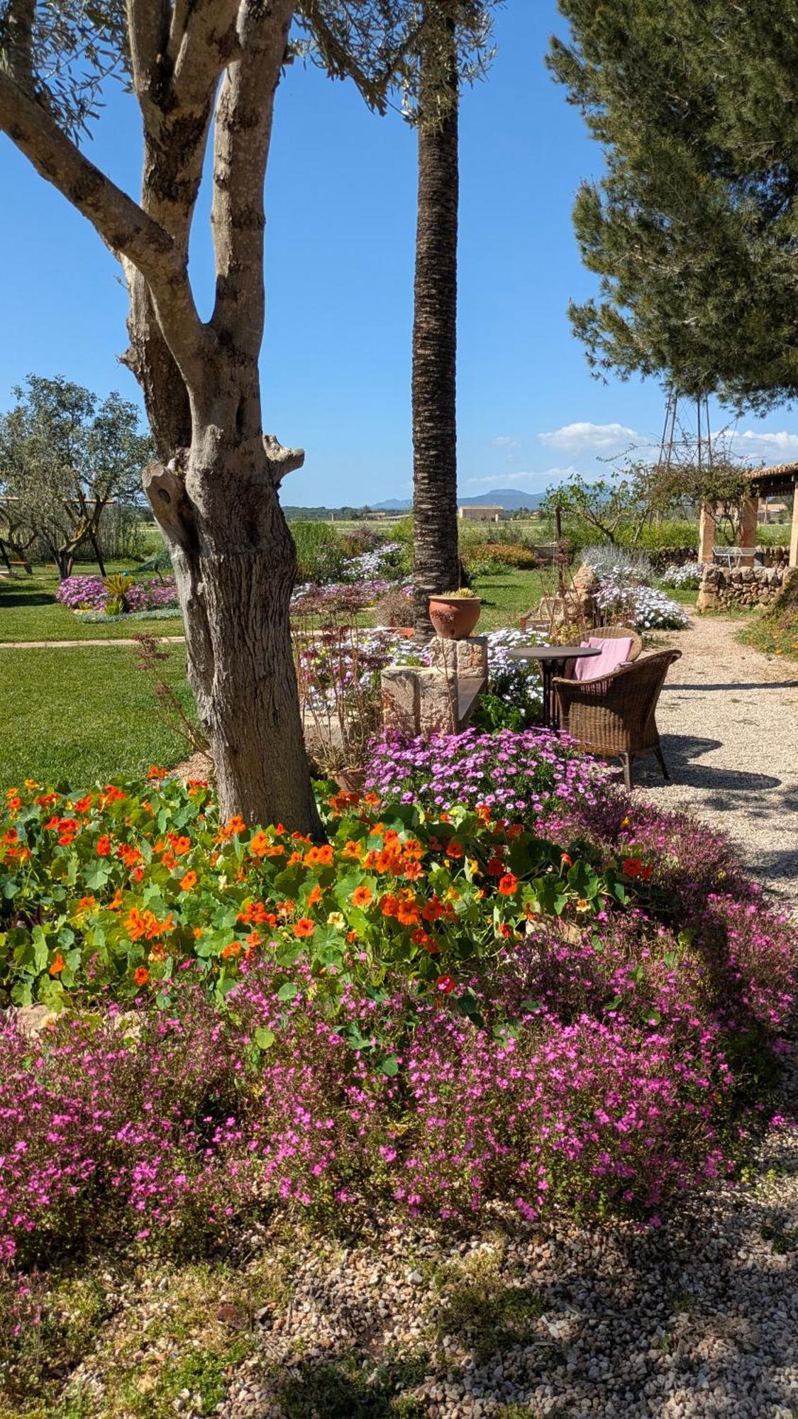 Agroturismo Finca Sant Blai Campos  Exteriör bild