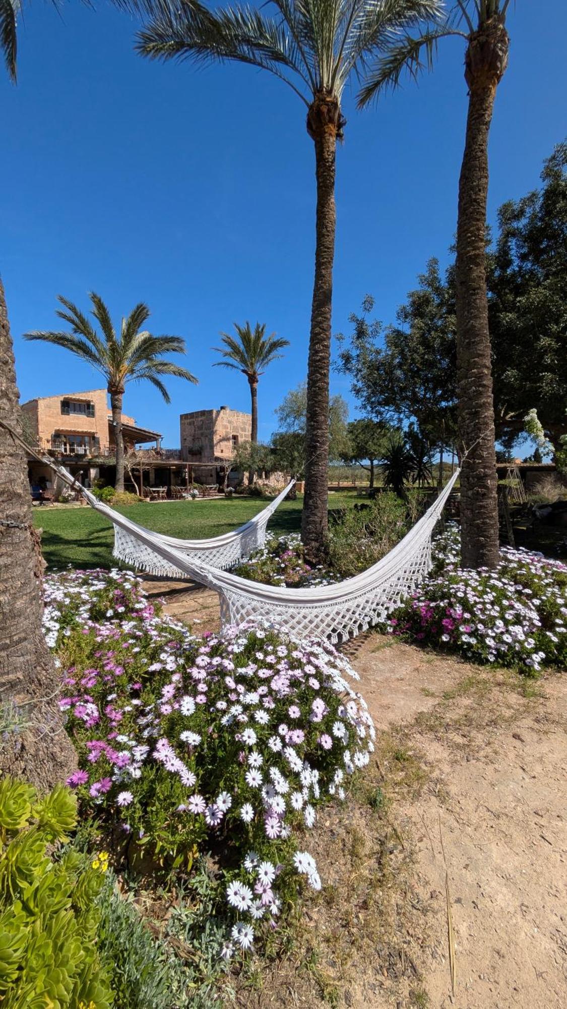 Agroturismo Finca Sant Blai Campos  Exteriör bild