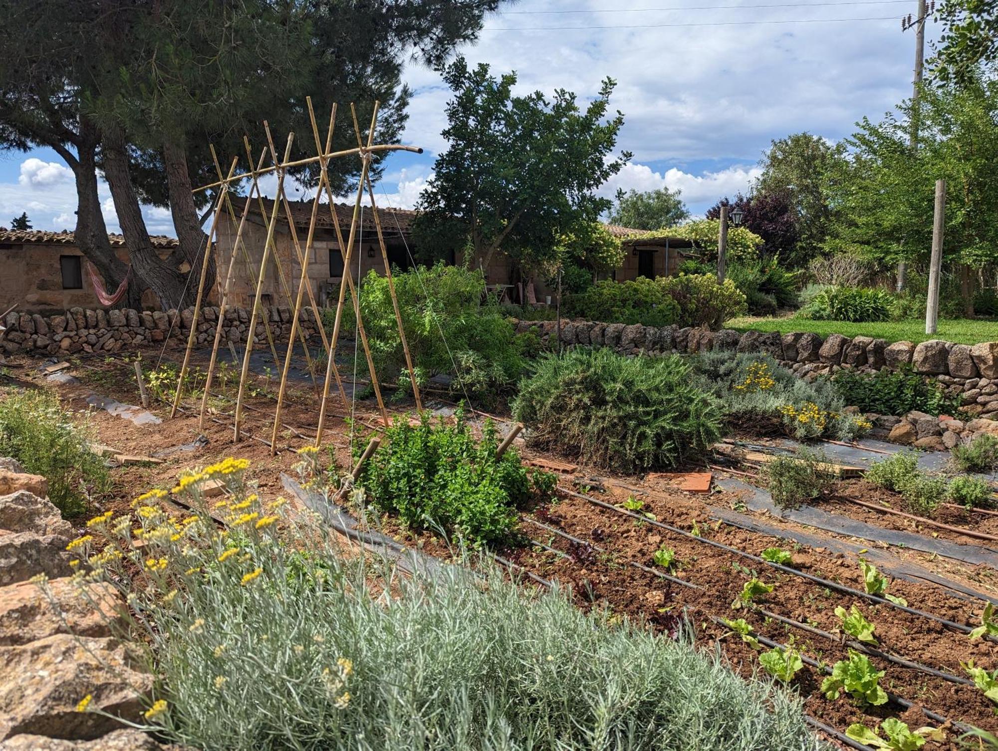 Agroturismo Finca Sant Blai Campos  Exteriör bild