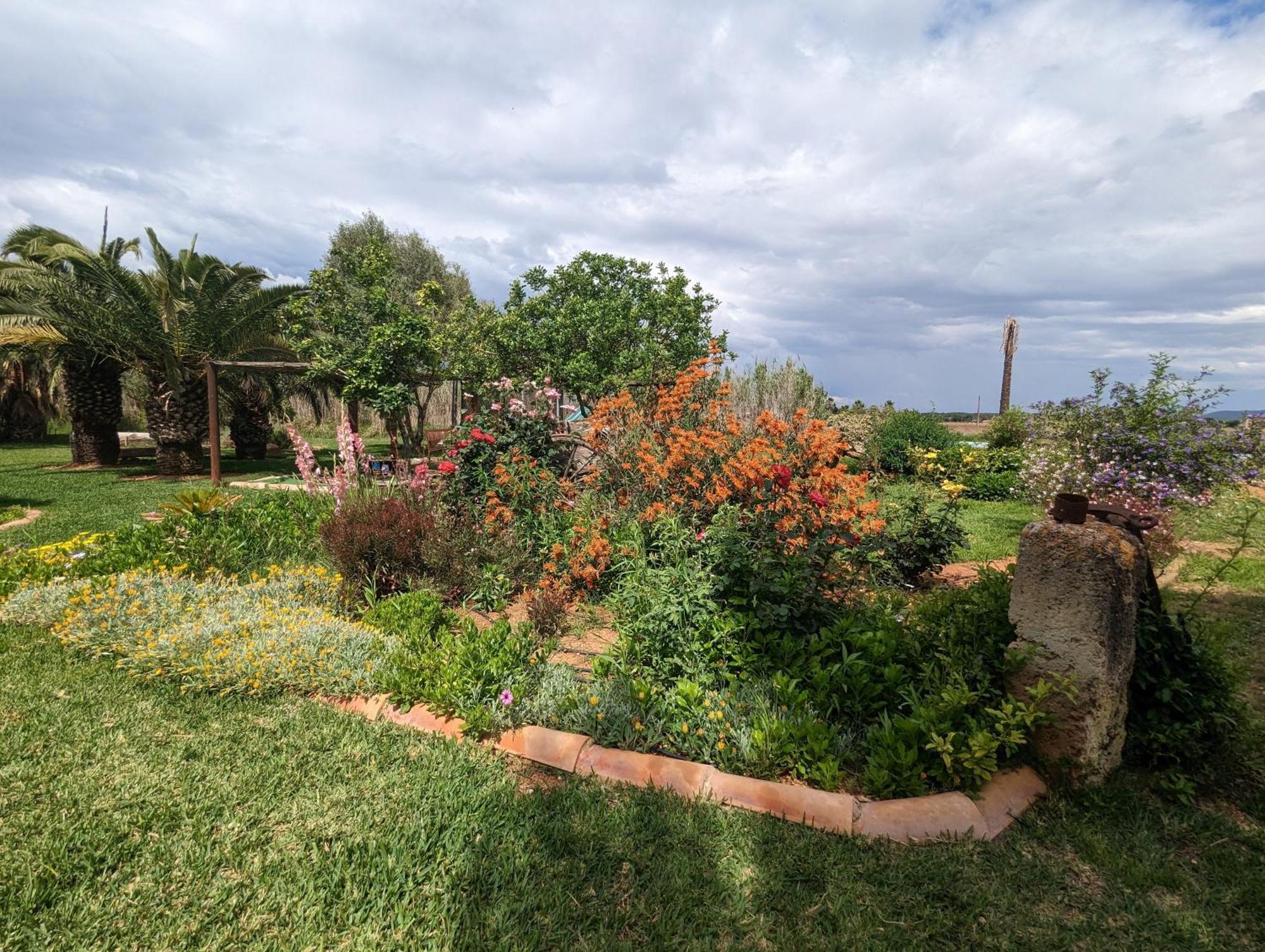 Agroturismo Finca Sant Blai Campos  Exteriör bild