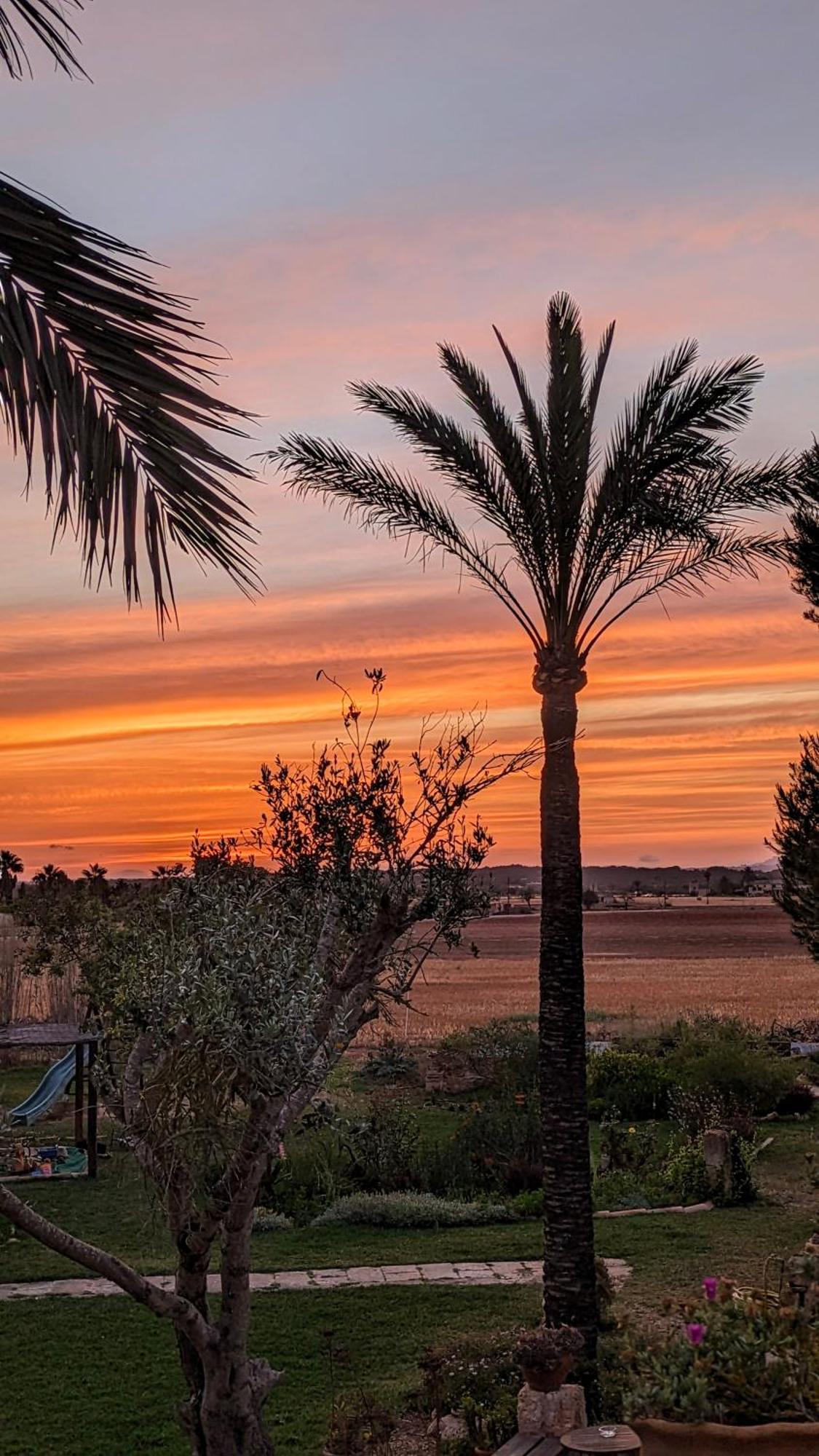 Agroturismo Finca Sant Blai Campos  Exteriör bild