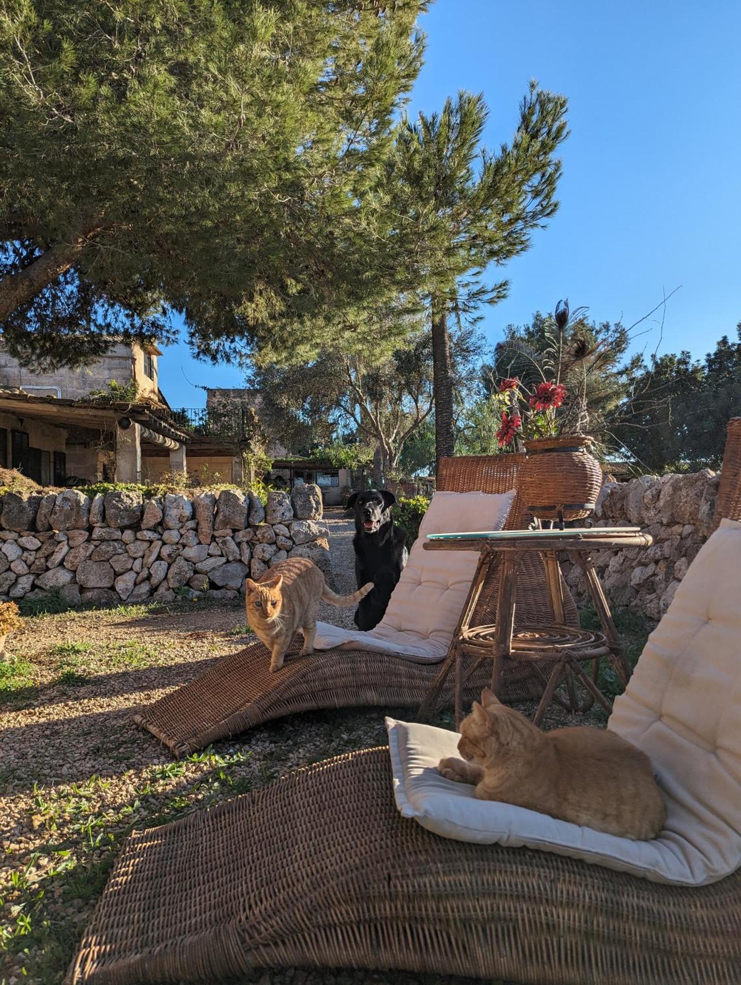 Agroturismo Finca Sant Blai Campos  Exteriör bild